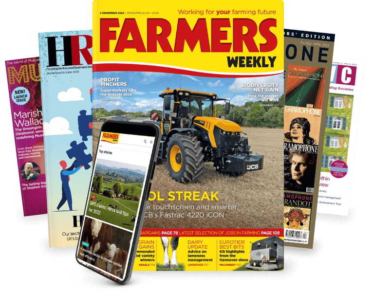 All magazines and journals